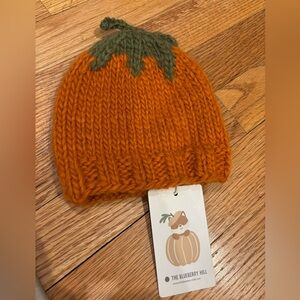 The Blueberry Hill Orange Pumpkin Knit Hat